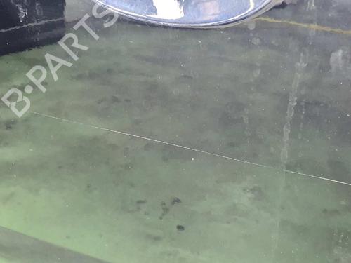 Left front door LAND ROVER RANGE ROVER SPORT I (L320) 2.7 D 4x4 | BP7231986C2 