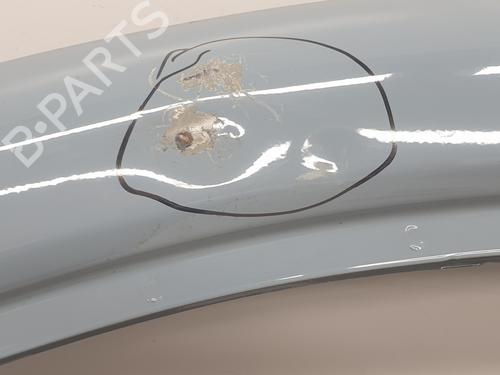 Left front door RENAULT TRAFIC III Van (FG_) 1.6 dCi 140 (FGMA, FGMC) | BP29915233C2 