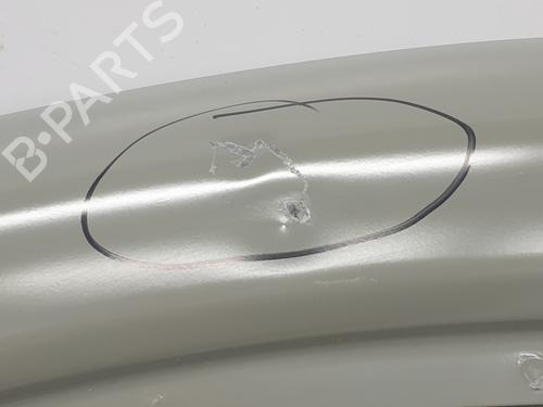 Left front door RENAULT TRAFIC III Van (FG_) 1.6 dCi 140 (FGMA, FGMC) | BP29915200C2