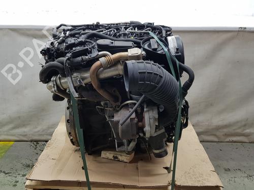Engine SEAT EXEO ST (3R5) 2.0 TDI | BP37688619M1 - Image 7