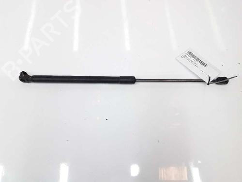 Hood lift support AUDI Q7 (4LB) 4.2 TDI quattro | BP14072562C139 