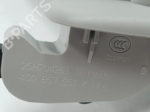 Left sun visor AUDI A6 C7 (4G2, 4GC) 2.0 TDI | BP30511555I1