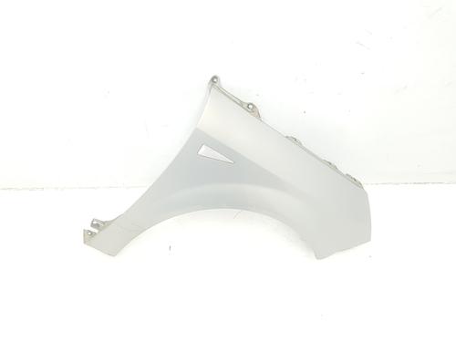 Right front fenders RENAULT SCÉNIC II (JM0/1_) 1.9 dCi (JM0G, JM12, JM1G, JM2C) | BP15085956C42 