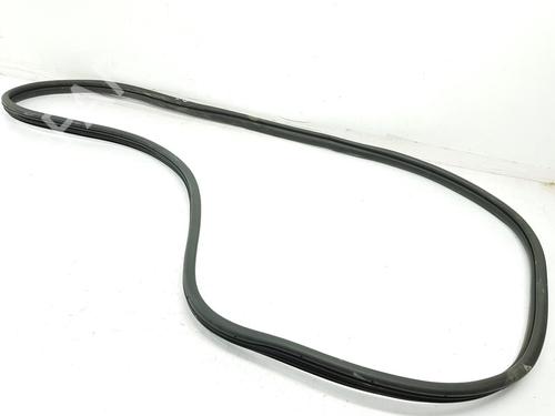Used Rubber door seal HYUNDAI TUCSON (TL, TLE) 1.6 CRDi hybrid 48V (136 hp) 16079884
