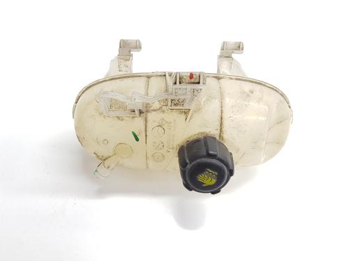 Expansion tank RENAULT TRAFIC III Van (FG_)  | BP29311555C120 