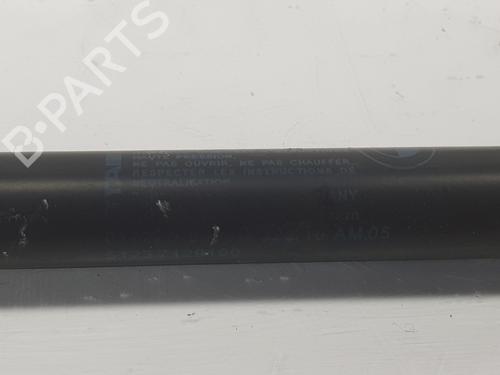 Tailgate lift support BMW 3 Touring (E91) 320 d | BP14100171C138 