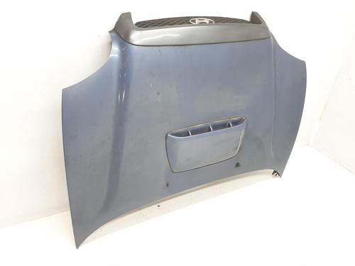 Hood HYUNDAI SANTA FÉ I (SM) 2.0 CRDi 4x4 | BP9579118C1 