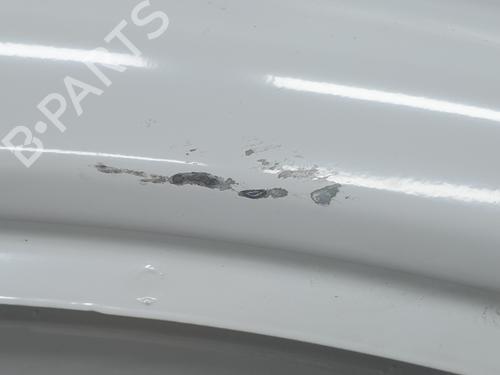 Right front door RENAULT TRAFIC III Van (FG_) 1.6 dCi 140 (FGMA, FGMC) | BP30144947C3 