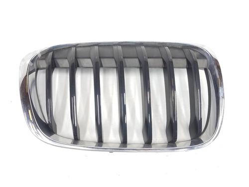 Used Grille BMW X1 (F48) xDrive 18 d (150 hp) 10406443