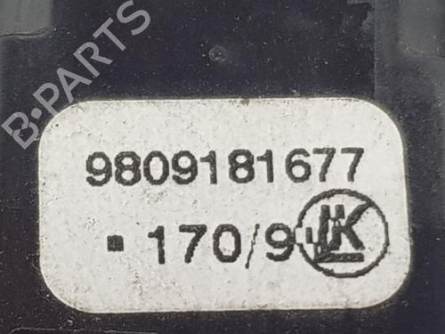 Advarselskontakt CITROËN JUMPY III Van (V_) 2.0 BlueHDi 120 | BP31924171I22