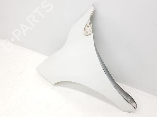 Left front fenders RENAULT MEGANE III Hatchback (BZ0/1_, B3_) 1.6 16V (BZ0H) | BP13072585C41 