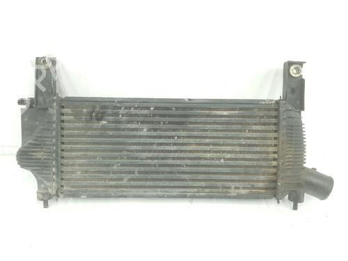 Intercooler NISSAN PATHFINDER III (R51) 2.5 dCi 4WD | BP10412689M30 