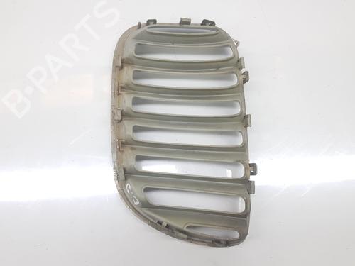 Grille BMW X5 (E53) 3.0 d | BP21265436C40 
