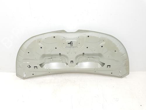 Hood RENAULT TRAFIC III Van (FG_) 1.6 dCi 140 (FGMA, FGMC) | BP30262849C1 