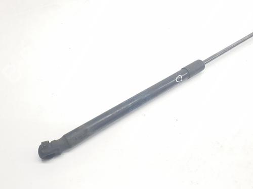 Hood lift support AUDI Q7 (4LB) 3.0 TDI quattro | BP16675295C139 