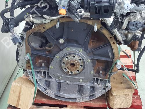 Engine OPEL MOVANO B Van (X62) | BP37631050M1 - Image 14