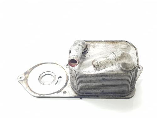 Used Oil radiator FORD TRANSIT V363 Van (FCD, FDD) 2.0 EcoBlue (130 hp) 30787083