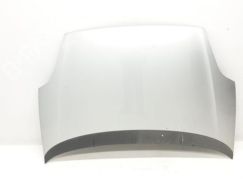 Capot FIAT GRANDE PUNTO (199_) 1.4 (199AXB11, 199AXB1A, 199BXB1A, 199AXL1A) (77 hp) 17871370