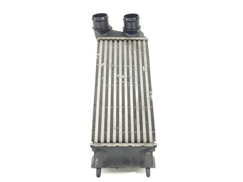 Intercooler DS DS 4 / DS 4 CROSSBACK (NX_) 1.6 BlueHDi 120 | BP8056633M30 