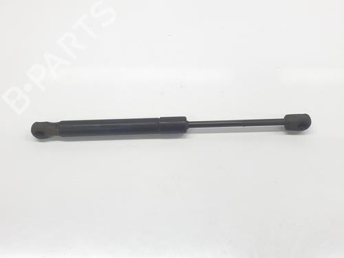 Gasdæmper bagklap AUDI A4 B6 (8E2) 1.9 TDI | BP29611069C138 