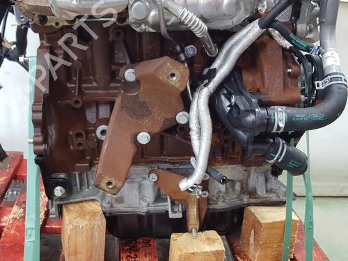 Engine FORD TRANSIT V363 Platform/Chassis (FED, FFD) | BP35765040M1 - Image 5