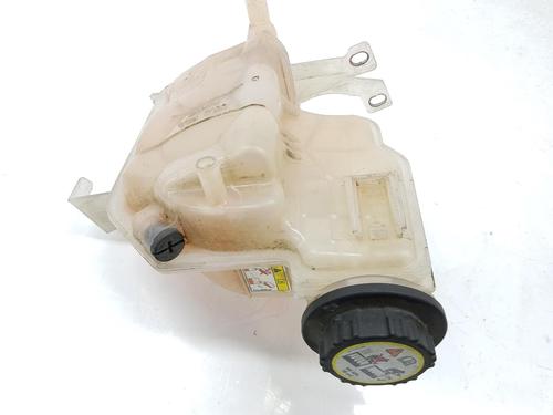Expansion tank LAND ROVER DISCOVERY III (L319) 2.7 TD 4x4 | BP11698999C120 