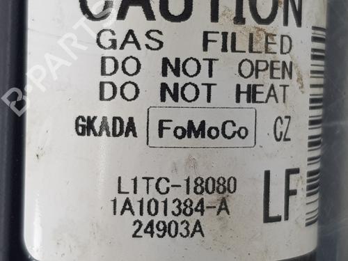 Amortyzator tylny lewy FORD PUMA (J2K, CF7) | BP30749235M18