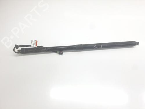 Used Tailgate lift support Tailgate lift support LAND ROVER RANGE ROVER SPORT II (L494) 3.0 TDV6 4x4 (258 hp) 33677001 33677001