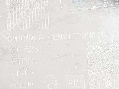 Interior roof light RENAULT TRAFIC III Van (FG_) 2.0 dCi 120 (FGMN) | BP29400515I8