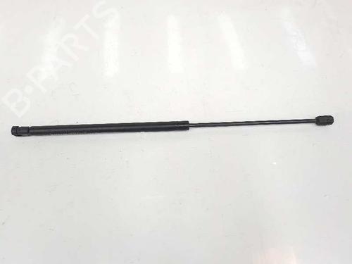 Pansergassdemper VW TOUAREG (7LA, 7L6, 7L7) 3.2 V6 | BP14085216C139 