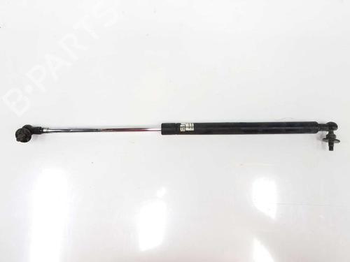 Hood lift support TOYOTA LAND CRUISER PRADO (_J12_) 3.0 D-4D (KDJ120, KDJ125) | BP14087558C139 