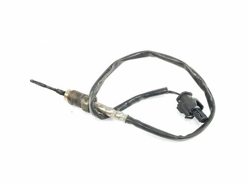 Elektronische sonde BMW X3 (F25) sDrive 18 d (150 hp) 16947132