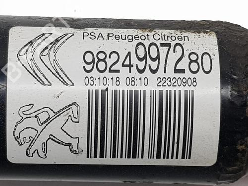 Left rear shock absorber CITROËN C3 III (SX) 1.2 PureTech 82 | BP31957951M18