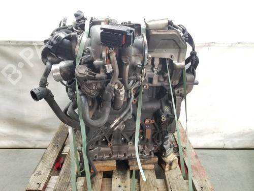 Engine VW GOLF VIII (CD1, DA1) 2.0 TSI R 4motion | BP11353973M1 