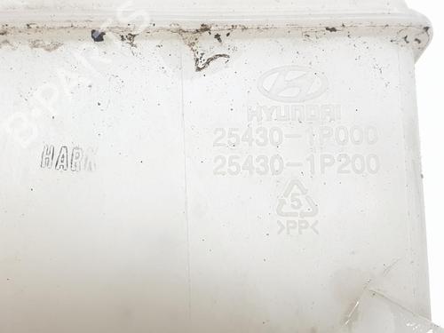 Expansion tank HYUNDAI ix20 (JC) 1.6 CRDI | BP17020867C120 