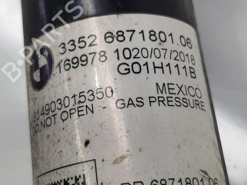 Left rear shock absorber BMW X3 (G01, F97, G08) xDrive 20 d | BP17651972M18 