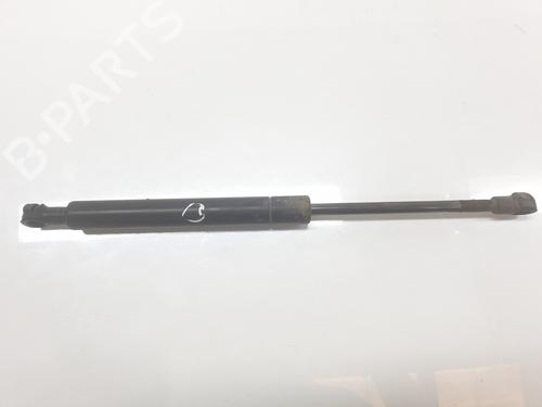 Used Hood lift support BMW 3 (E46) 320 d (136 hp) 20190608