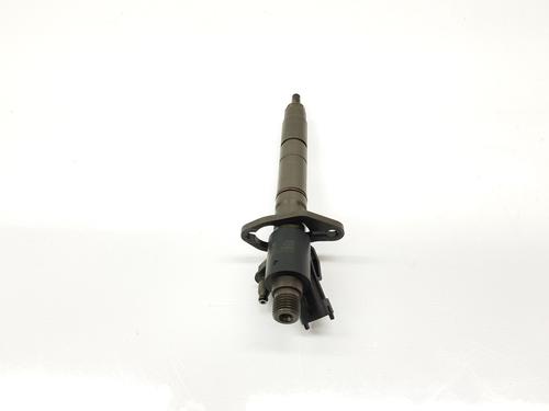 Injector LAND ROVER RANGE ROVER SPORT I (L320) 3.0 D 4x4 | BP24866495M100 