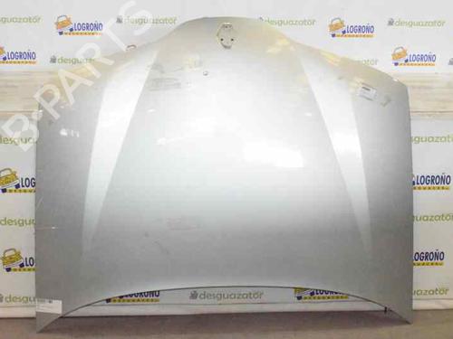 Used Hood RENAULT LAGUNA II (BG0/1_) 1.9 dCi (BG0R, BG0E) (100 hp) 1326513