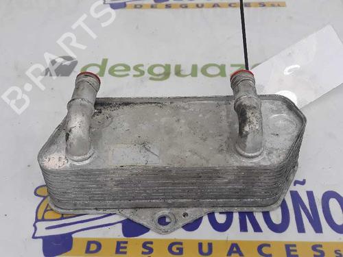 Oliekøler SEAT ALTEA (5P1) 2.0 TDI 16V | BP14123938M33 