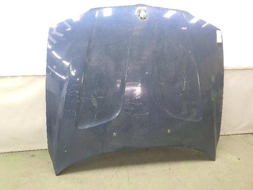 Hood BMW X3 (E83) xDrive 30 d | BP5851976C1 