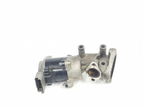 Egr LAND ROVER DISCOVERY III (L319) 2.7 TD 4x4 | BP31805800M69