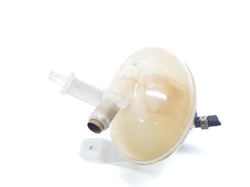 Expansion tank FIAT 500L (351_, 352_) 1.6 D Multijet (199LYD1B) | BP29183793C120 