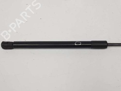 Hood lift support OPEL ANTARA A (L07) 2.0 CDTI 4x4 | BP14079683C139 