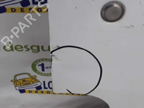 Right front door NISSAN INTERSTAR Van (X70) dCi 100 | BP26491913C3 