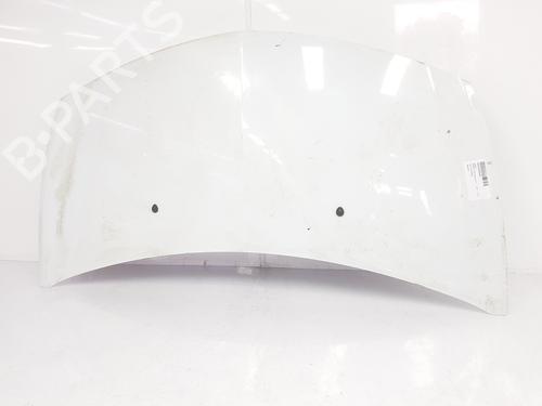 Hood RENAULT CLIO III (BR0/1, CR0/1) 1.5 dCi | BP792898C1