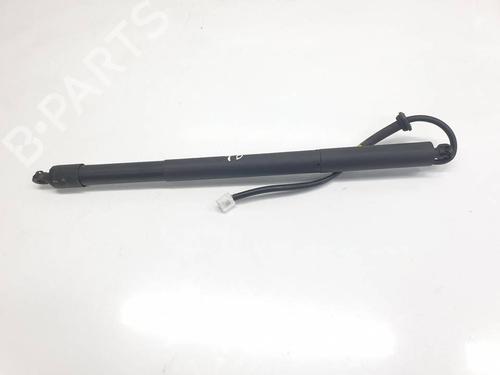 Used Tailgate lift support Tailgate lift support TOYOTA RAV 4 V (_A5_, _H5_) [2018-2026] 40435779 40435779