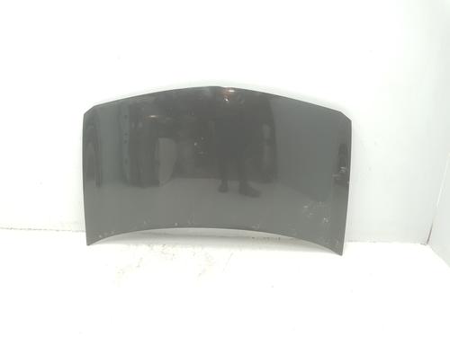 Used Hood RENAULT MEGANE II (BM0/1_, CM0/1_) 2.0 16V (BM0U, CM0U) (135 hp) 16030495