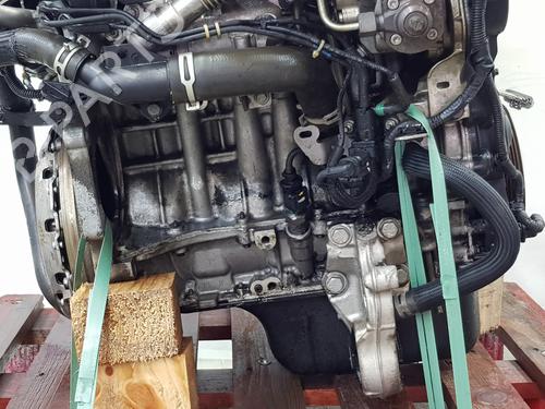 Engine CITROËN BERLINGO MULTISPACE (B9) 1.6 HDi 75 16V | BP35737185M1  - Image 6