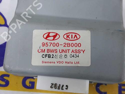Electronic module HYUNDAI SANTA FÉ II (CM) 2.2 CRDi GLS | BP2594906M83 